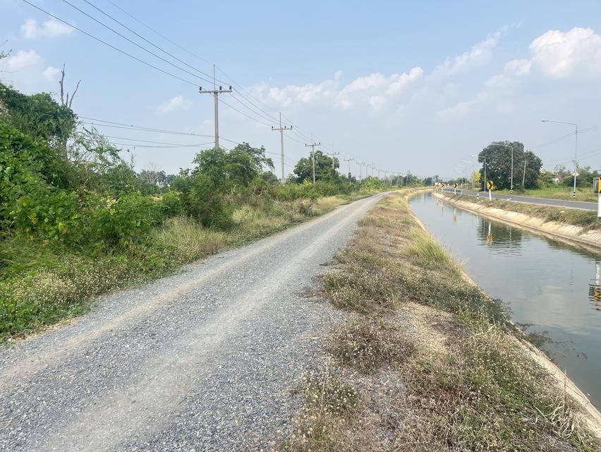 ขายที่ดินติดถนนดำ อ..เสาไห้ 3