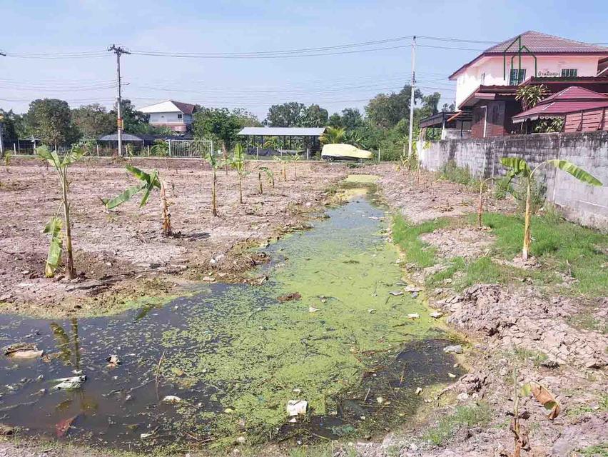 ที่ดิน 1 ไร่ 2 งาน 24 ตารางวา บางกรวย ไทรน้อย 43 ใกล้วัดบางกร่าง 5