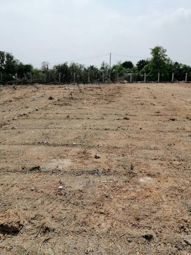 ให้เช่า ที่ดิน คลอง 10 ลำลูกกา 7 ไร่ 2 งาน 66 ตร.วา ทำเลดี ติดถนนลำลูกกา เหมาะทำการค้า โกดัง ปั๊มน้ำมัน 6