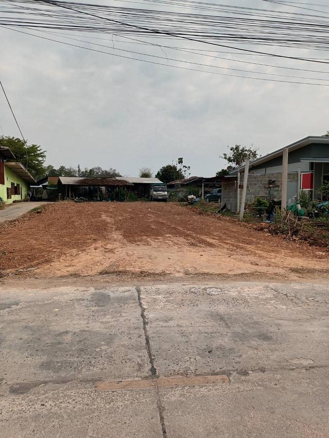 ที่ดินพิษณุโลก ถมเเล้ว 134ตรว. 1