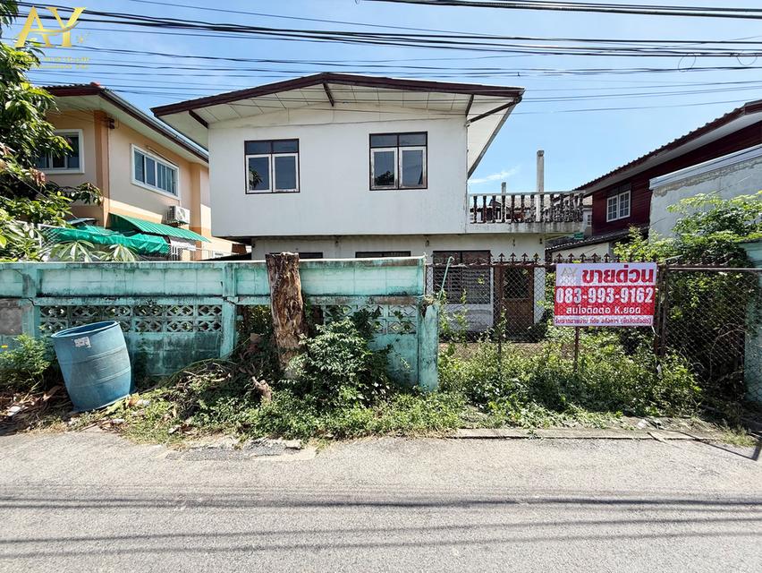 🚨 ขายด่วน 🚨 ที่ดินรามอินทรา 30 แถมบ้านเก่า 1หลัง ‼️ราคาน่ารักเกินต้าน 👉🏻👈🏻 เพียง 3.5 ล้าน 1