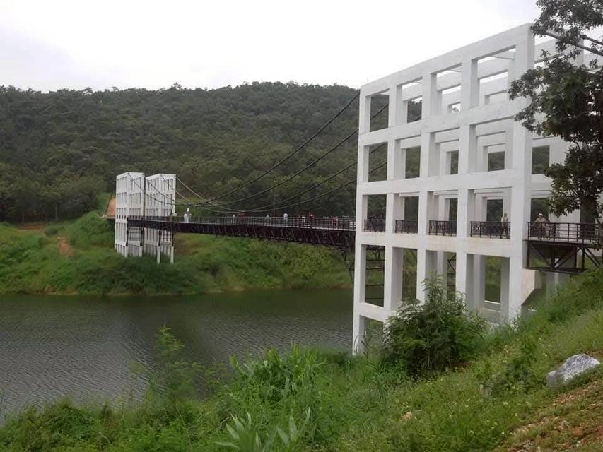 ที่ดินเปล่าวิวสวย เหมาะทำบ้านตากอากาศหรือรีสอร์ท ท่ามกลางธรรมชาติ 5