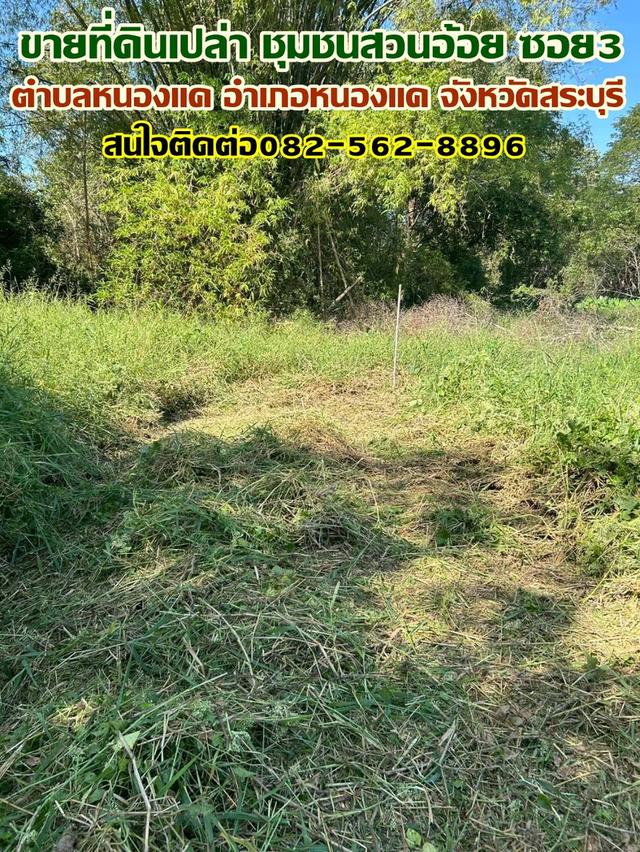 ขายที่ดินเปล่า ชุมชนสวนอ้อย ซอย3 หนองแค สระบุรี 1
