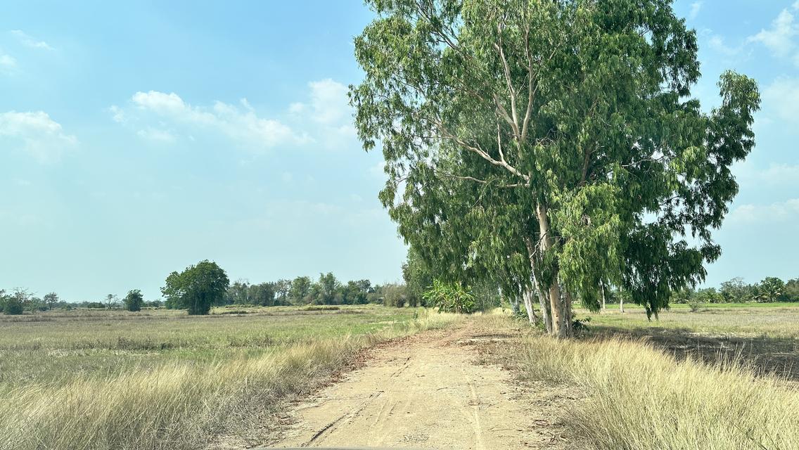 ขายที่นายกแปลง 34 ไร่ 2 งาน 20 ตารางวา ที่สระบุรี 3