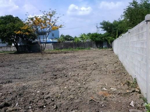 ขายที่ดิน 528.5 ตร.ว. ติดแนวรถไฟฟ้า ซอยกรุงเทพ-นนท์2 สวยถมแล้ว 4