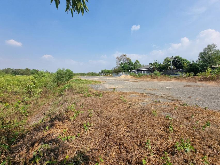 ขายที่ดินโฉนดนส.3ถมแล้ว 150 ตรว.ติดตลาดนัดเกาะขนุน ใกล้ถนนใหญ่3076เพียง120เมตร อ.พนมสารคาม ฉะเชิงเทรา 5