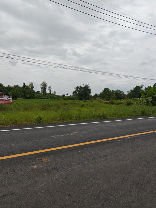 ขายที่ดิน2ไร่ ติดถนน นครนายก 2