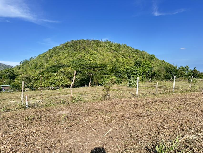 ที่ดิน พุหวาย ชะอำ จ เพชรบุรี ขนาด 6.375 ไร่  18