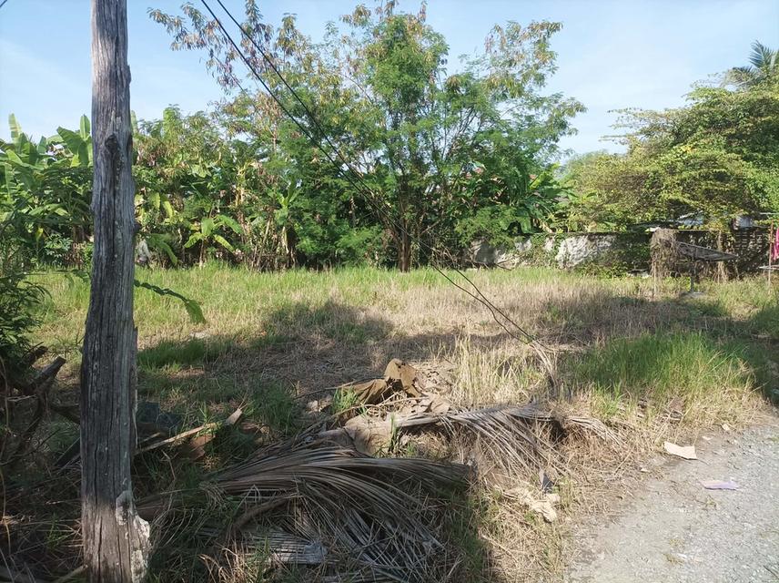 ขายที่ดิน 110ตร.ว. ต.ป่าป้อง อ.ดอนสะเก็ด จ.เชียงใหม่ 3