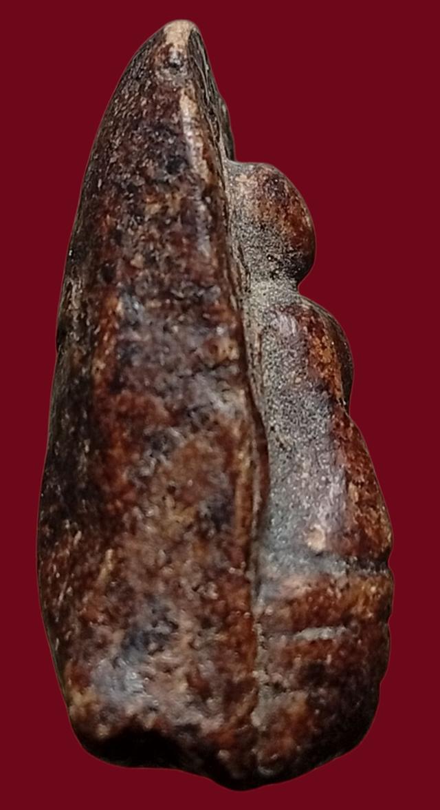 พระเก่าเนื้อดินปิด 500