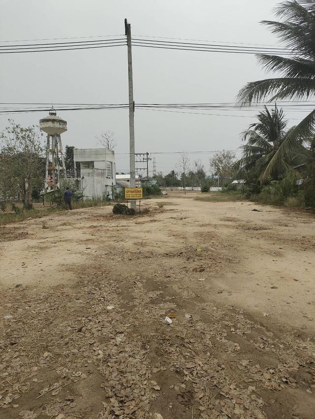 ขายที่ดินเปล่า ทำเลดี ติดถนน​ อำเภอวชิรบารมี จังหวัดพิจิตร  9