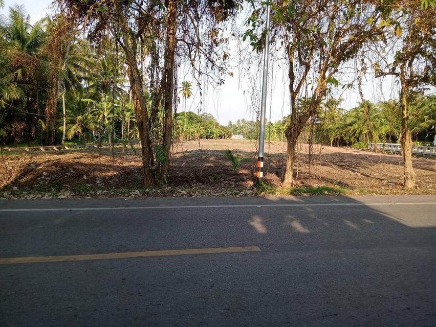 ที่ดินติดแม่น้ำแม่กลอง อำเภอบางคนที จังหวัดสมุทรสงคราม (แปลงสวยฮวงจุ้ยแอ่งท้องมังกร จากซินแสจีนประจำตระกูลเจ้าของที่ที่ทำธุรกิจระดับ TOP 10 ของประเทศ) 2