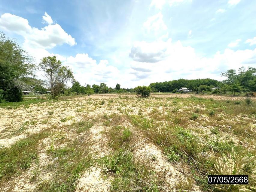 ที่ดินร้อยเอ็ด 8 ไร่กว่า ผืนใหญ่ ทำเลดี ติดถนนสายหลัก 8