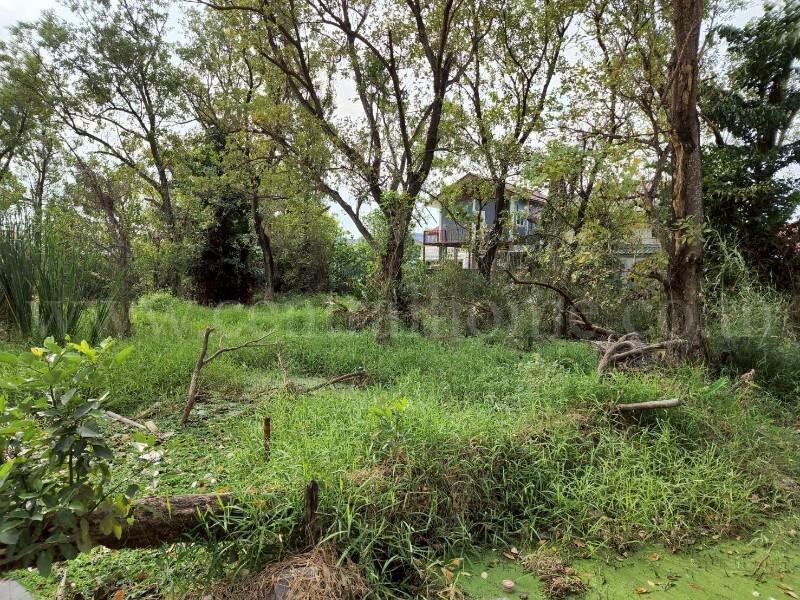 ที่ดินเปล่า 2-3-8 ไร่ ตารางวา ซอย มหาสวัสดิ์ - บางกรวย แปลงสวย ถมแล้ว 4