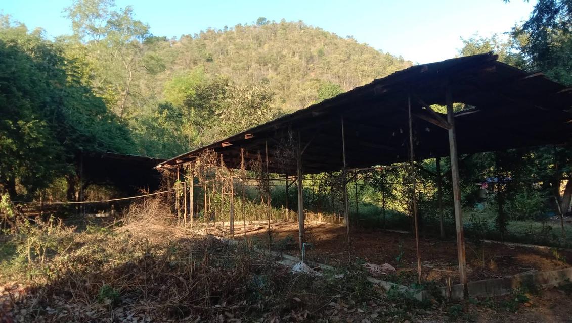 ขายบ้านพร้อมที่ดิน หลังติดเขา ต.เขาขลุง อ.บ้านโป่ง จ.ราชบุรี 10