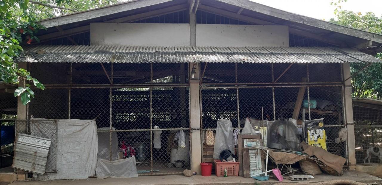 ขายที่ดินแปลงใหญ่ พร้อมสวนผลไม้ อยู่ติดถนนลาดยาง ราคาต่อรองได้ 3