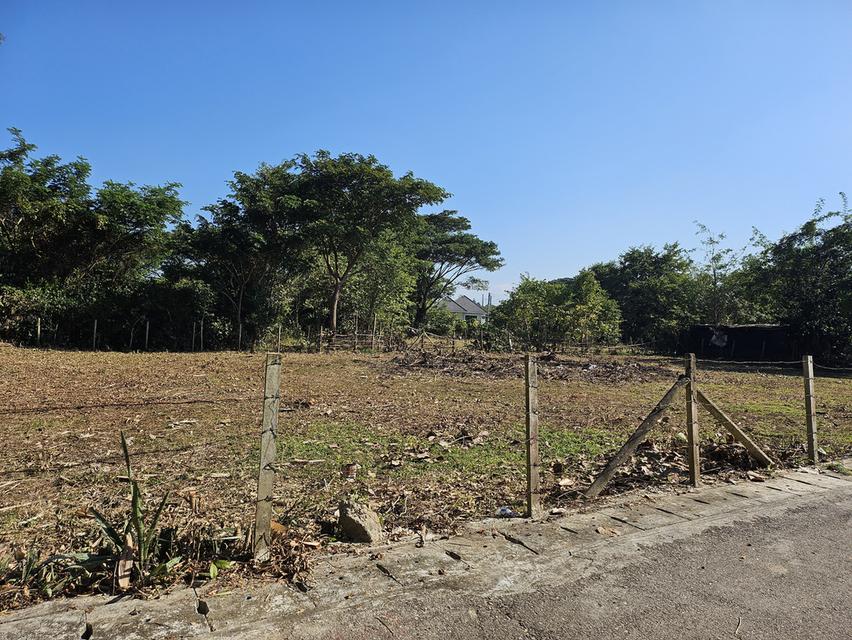 ที่ดินสันกำแพง 2 แปลง รวม 231 ตรว. 1