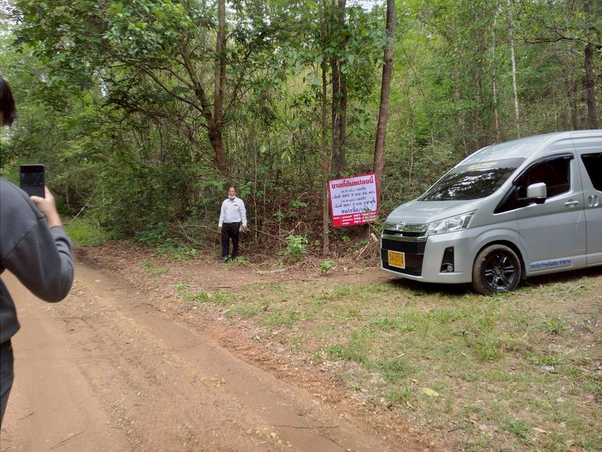 ที่ดินทำการเกษตร เหมาะทำรีสอร์ท บ้านพักตากอากาศ 11