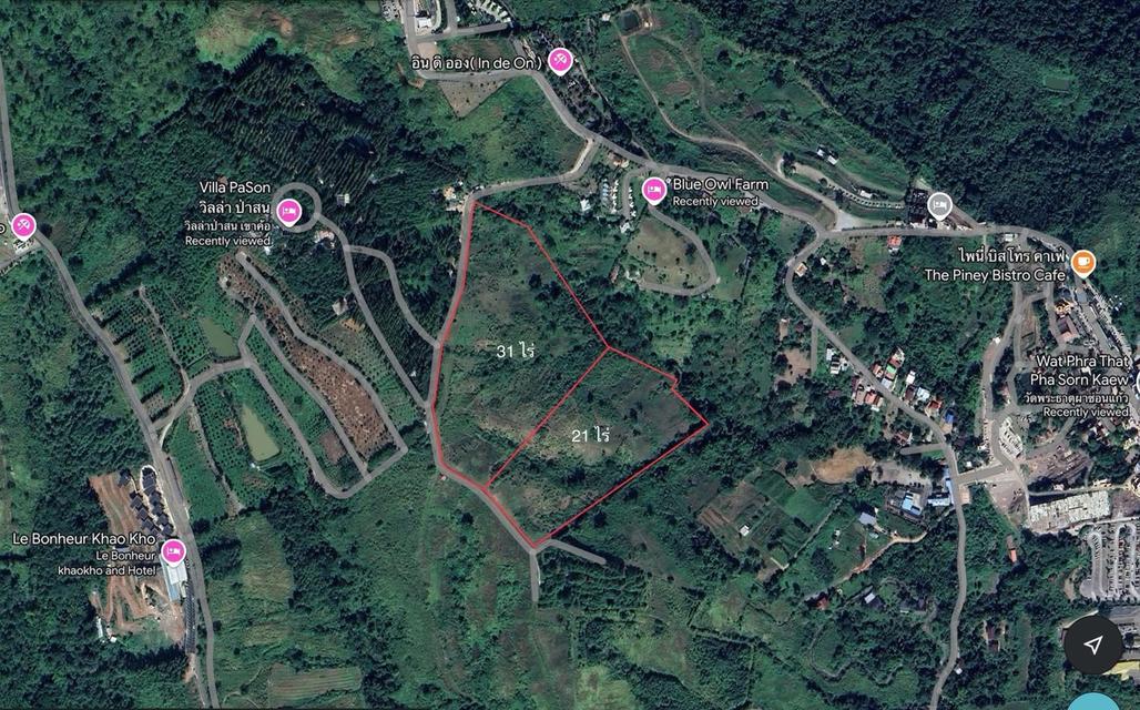 ที่ดินเขาค้อ 52 ไร่ เนินเขา 6