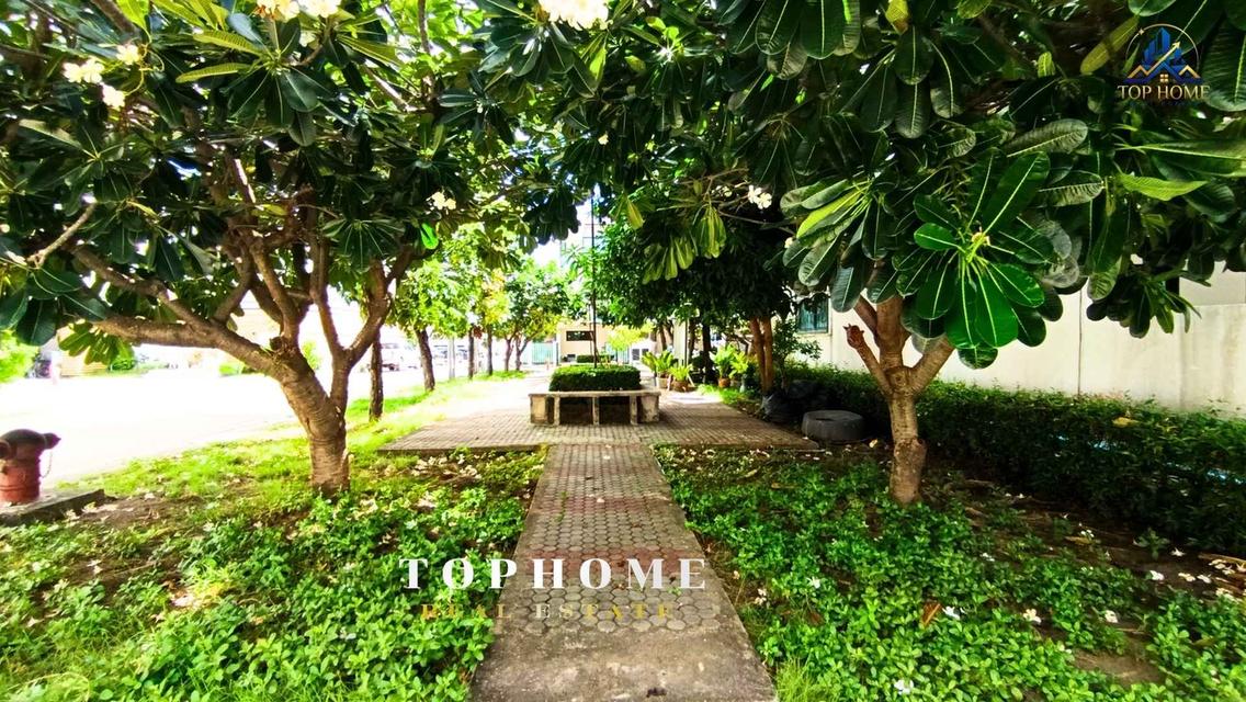 ✨ 🏡ขายด่วน! ทาวน์โฮม 3 ชั้น หลังริม 🏡 หมู่บ้านสารินวิซ แบริ่ง 22 💰 อ.เมือง จ.สมุทรปราการ 10