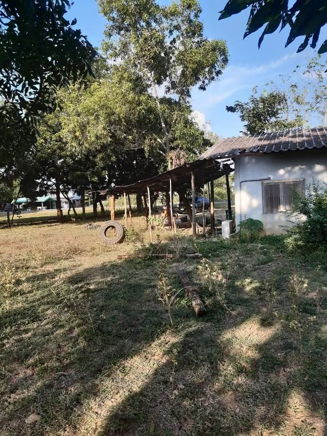 ขายที่ดินจังหวัด นครสวรรค์ ตำบลพนมรอก อำเภอท่าตะโก จำนวน 4 ไร่ 2 งาน 98 ตารางวา ติดถนน ขุดบ่อ มีบ้านพร้อมน้ำไฟ 2.5 ล้านบาท 4