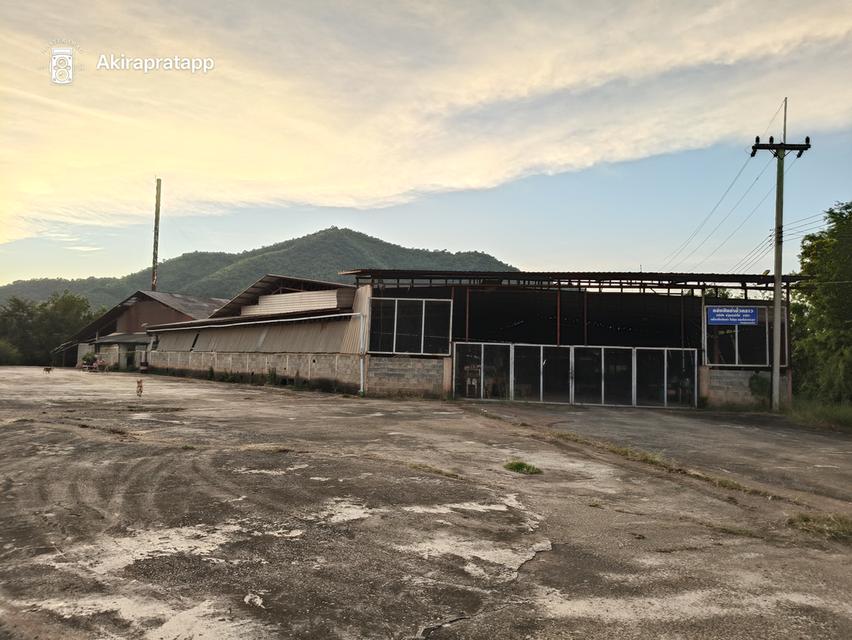 กิจการโรงไม้พร้อมเครื่องจักรทำไม้ 5