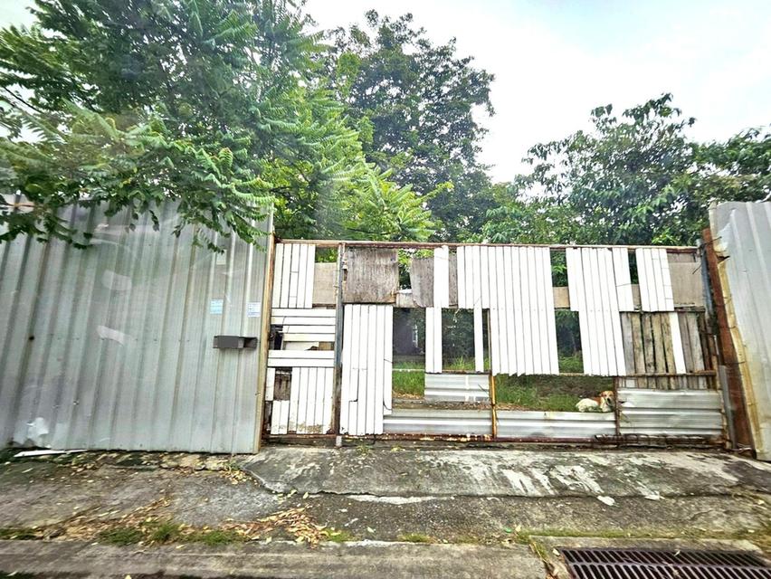 🏡 ขายที่ดิน 1 ไร่ ใจกลางสุขุมวิท 54 | เดินถึง BTS อ่อนนุช | แปลงสวย ทำเลดี, ต่ำกว่าราคาตลาด! 6