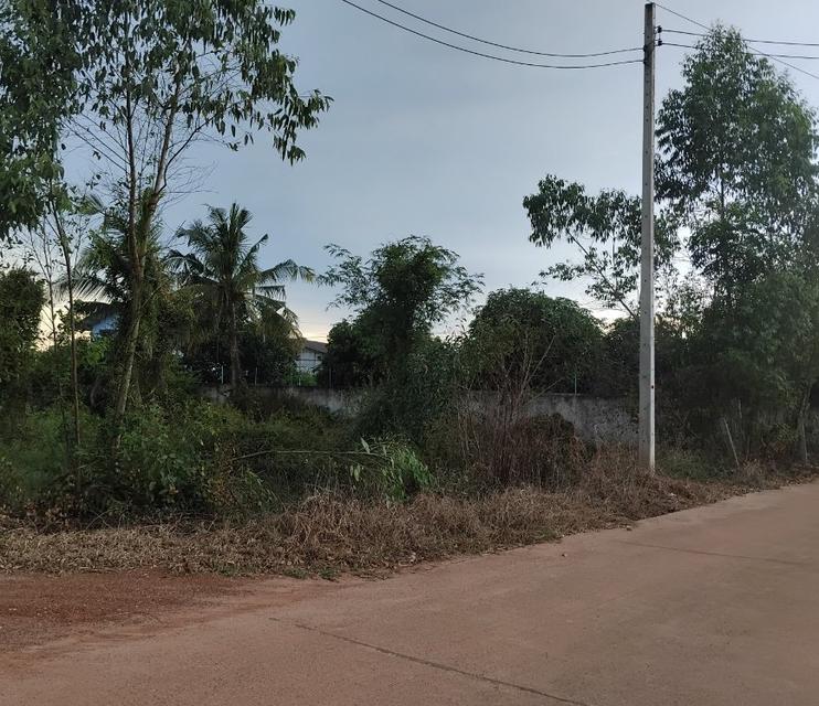 ขายที่ดินบ้านซ่องซอย44เนื้อที่ 2 ไร่ ใกล้ถนนสี่เลนเส้น319-100เมตร อ.พนมสารคาม ฉะเชิงเทรา
