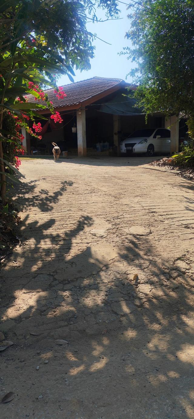 บ้านพร้อมที่ดินใกล้ตัวเมืองเชียงราย ใกล้วัดห้วยปลากั้ง 1