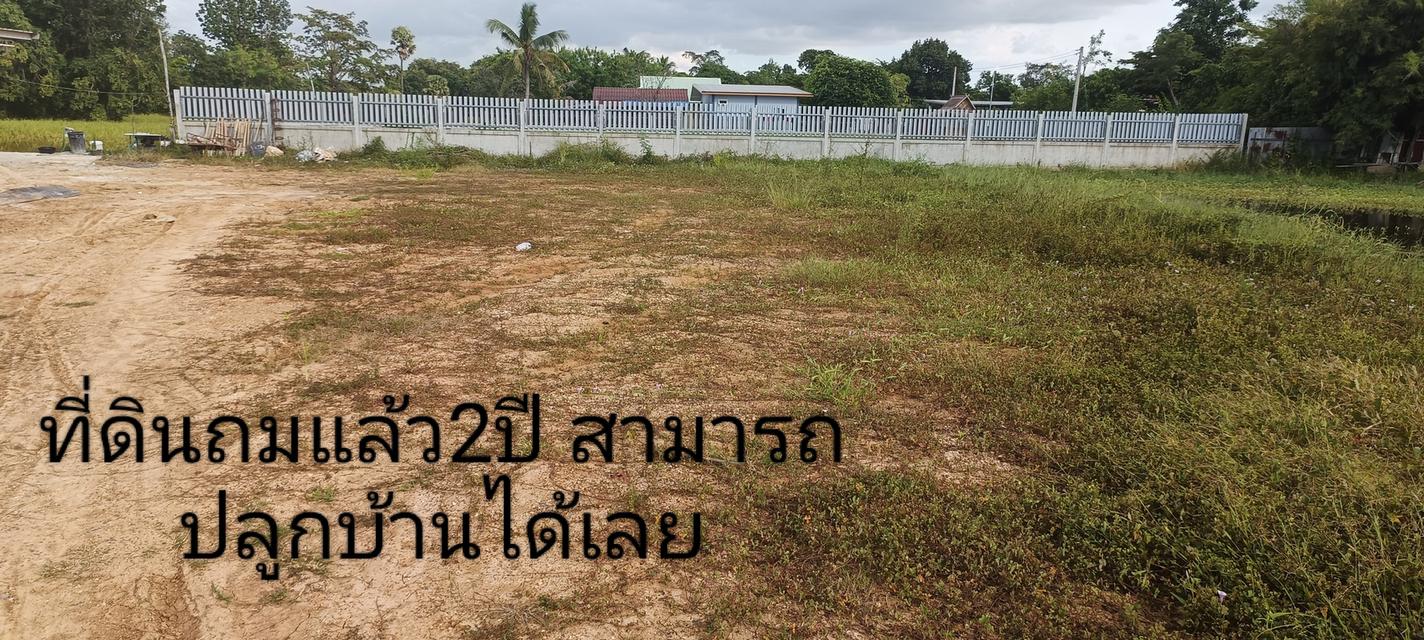📢ขายที่ดินเหมาะสำหรับปลูกบ้าน ขนาดกำลังพอดี เงียบ สงบ มีเพื่อนบ้าน น้ำ ไฟ ผ่าน โฉนดไม่ติดภาระผูกพันใดๆพร้อมโอนทุกแปลง  🙏ขายที่ดินเปล่า 150 ตารางวา แ 5