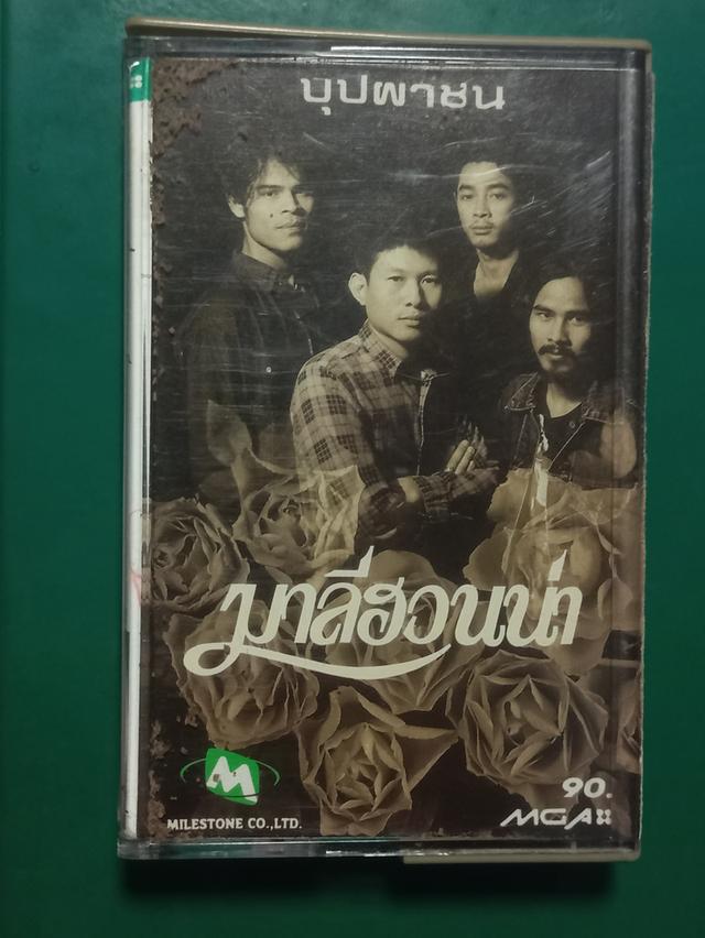 เทป เพลง มาลีฮวนน่า