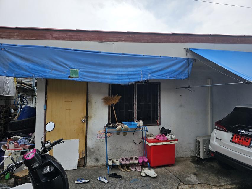 ขายห้องเช่าพร้อมที่ดินสิ่งปลูกสร้าง ประมาณ 23 ตรว 2