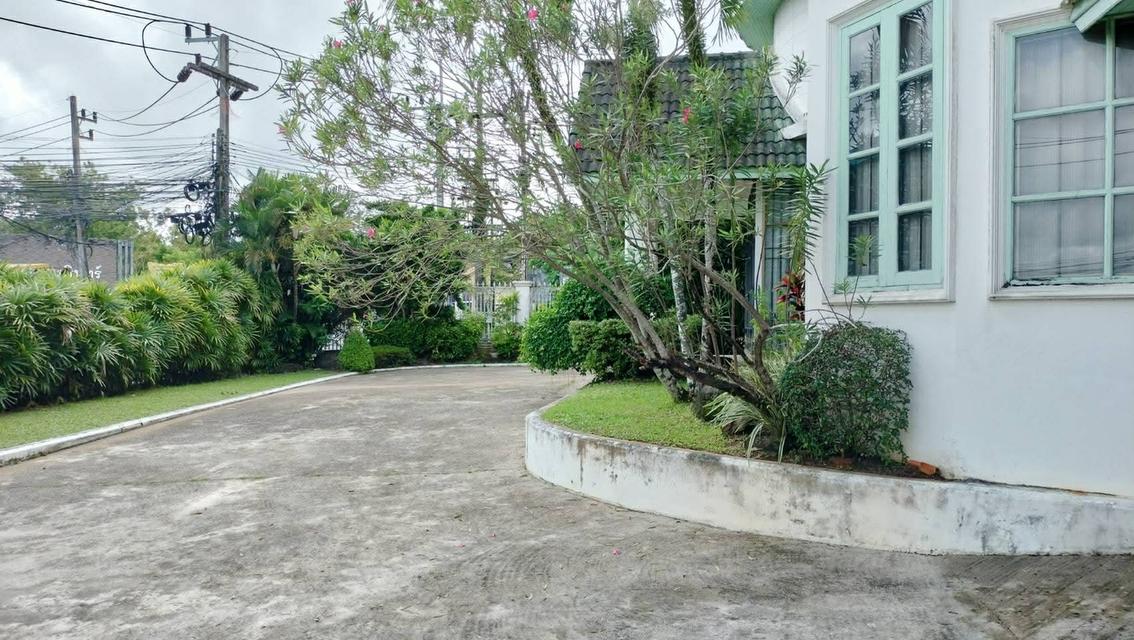 Spacious Land with Detached Home in Central Phuket – Large Garden & 4-Car Parking 3