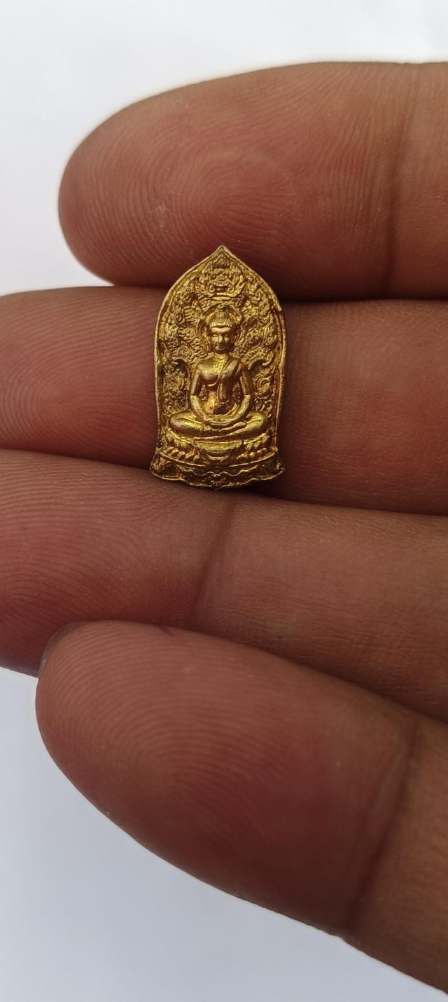 พระนาคปรกใบมะขาม "พันธมุตโต" รูปที่ 5
