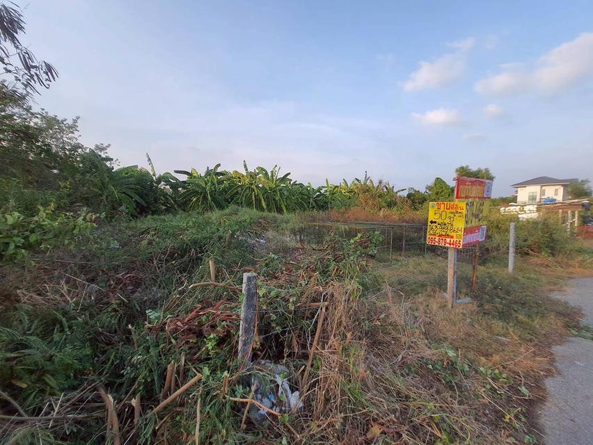 ขายด่วนที่ดิน 50 ตรว ติดถนนสาธารณะ ถมแล้ว ซ.คลองสี่ ตอ.14/1 คลองหลวง ปทุมธานี 6