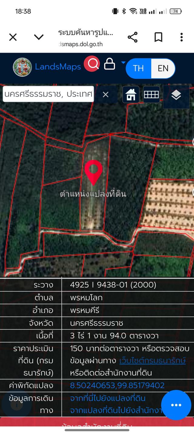 📌ขายด่วน สวนทุเรียนหมอนทอง 3 ไร่ 1 งาน 94 ตร.วา 8