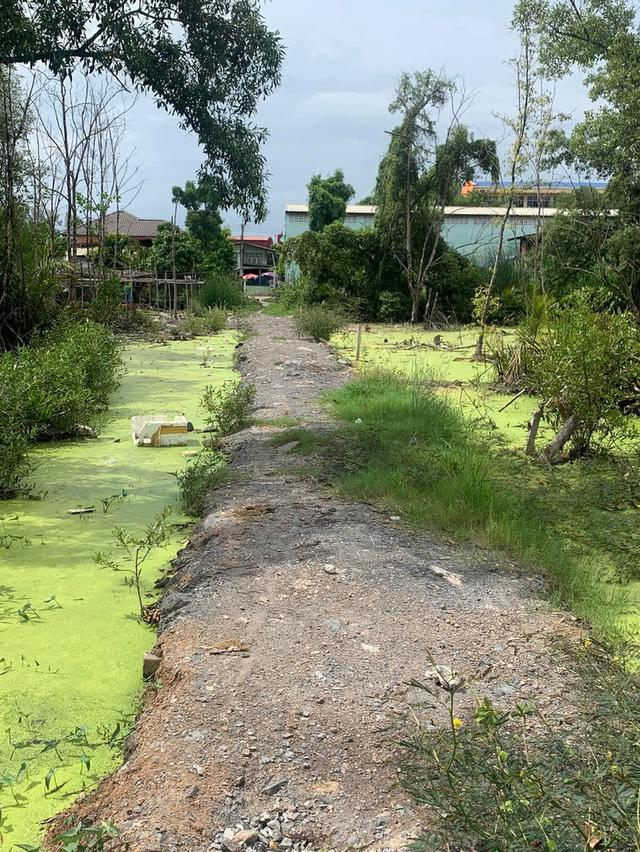 ที่ดิน พื้นที่ว่างปล่าว บ้าน 5