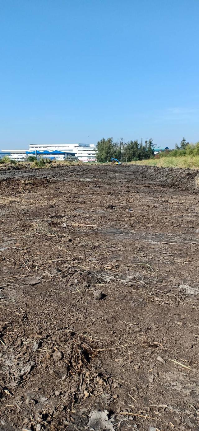 ที่ดินสำหรับโรงงาน โกดังอยู่ในนิคมอุตสาหกรรมบางปู 4