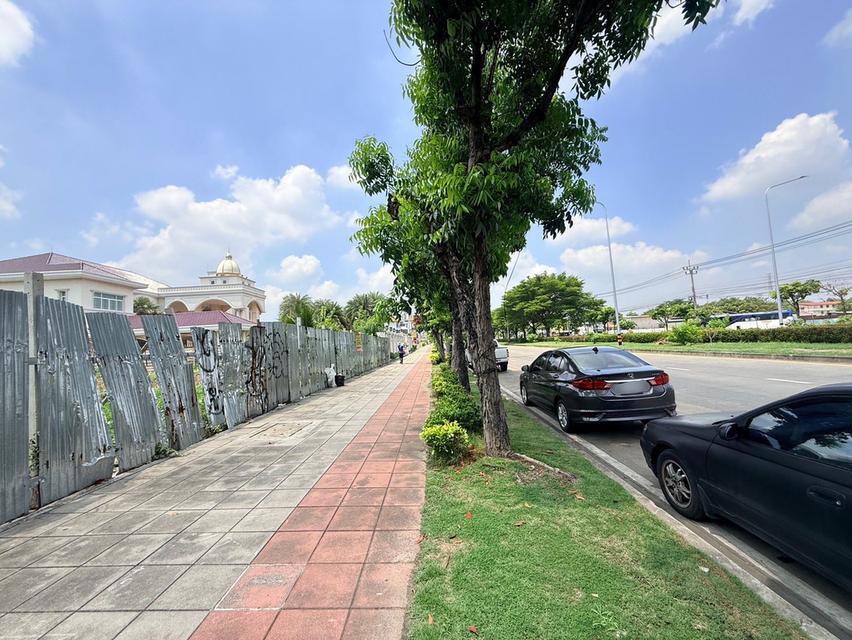 ขายด่วนที่ดิน 704 ตรว ติดถนนพุทธมณฑลสาย 2 ถนนพุทธมณฑลสาย 2 เขตบางแค กทม 11