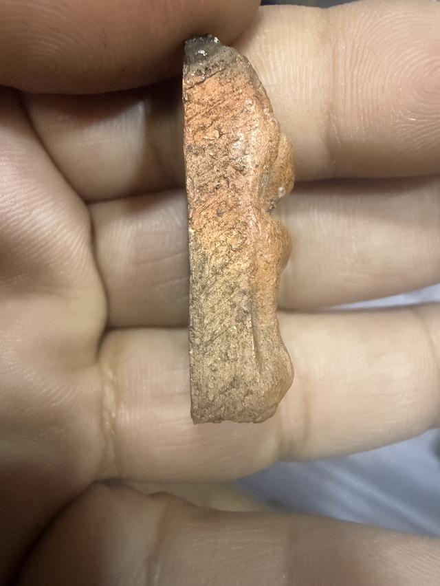 นางพญาพิษณุโลกพิมพ์เข่าโค้ง 2