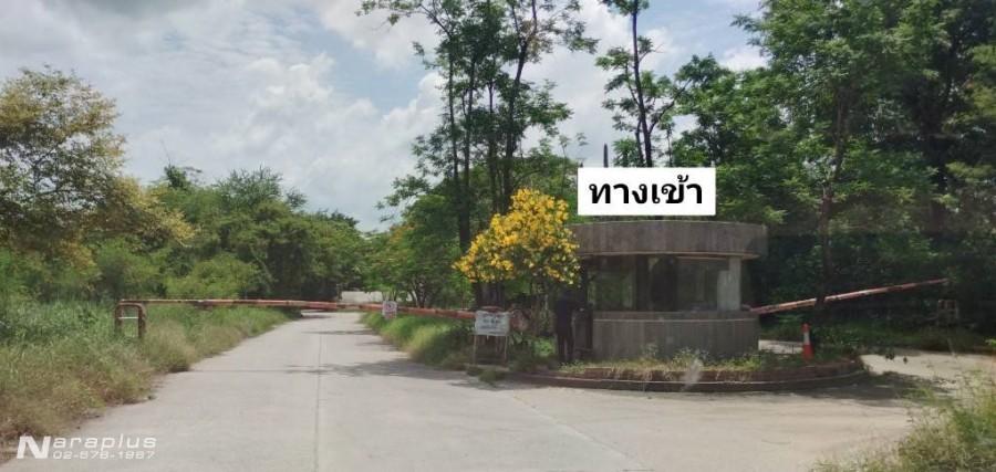 69070358 : ขายที่ดินเปล่าราคาต่ำกว่าประเมิน ขนาด 329 ตร.ว. ทำเลดีในโครงการ รอยัล เพลส (Royal Place) บนถนนบางนา-ตราด กม.26 บางบ่อ สมุทรปราการ 2