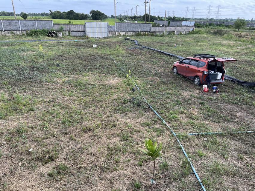 🌿 Land for sale in a fast-developing zone, by owner, title deed ready to transfer, no mortgage 9