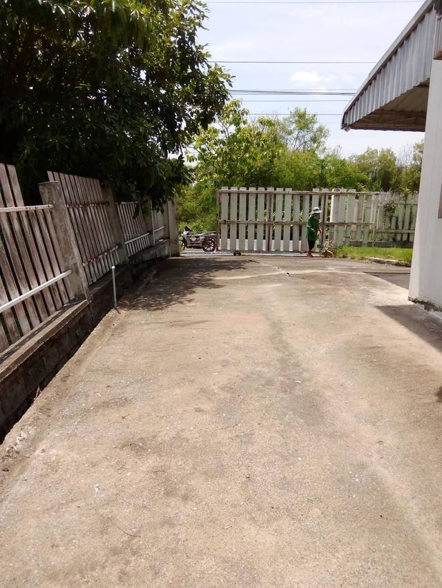 Sale land with Ware House about 1452 sqm. at Nakhonrachsima or korat 4