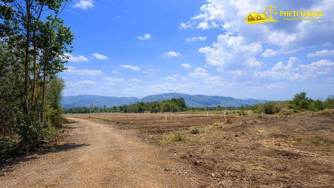 ที่ดินเงินผ่อน ต.วังชมภู อ.เมือง จ.เพชรบูรณ์ 10