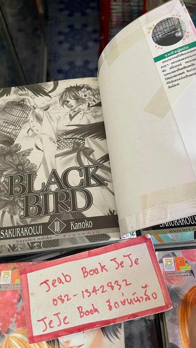 หนังสือการ์ตูน BLACK BIRD 1-18 จบ 3