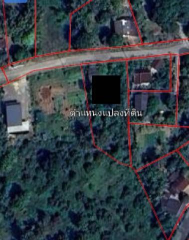ขายที่ดินสวยทำเลทอง อำเภอพาน เชียงราย เหมาะสร้างบ้านพักผ่อน 5