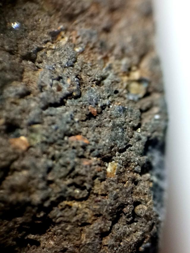 หลวงปู่ทวดเนื้อว่าน 2497 พิมพ์พระรอด 7