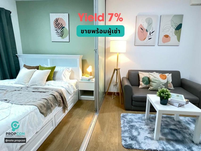 รูป ขาย PLUM CONDO ลาดพร้าว 101 ห้องรีโนเวทใหม่ พร้อมผู้เช่า Yield 7% 1