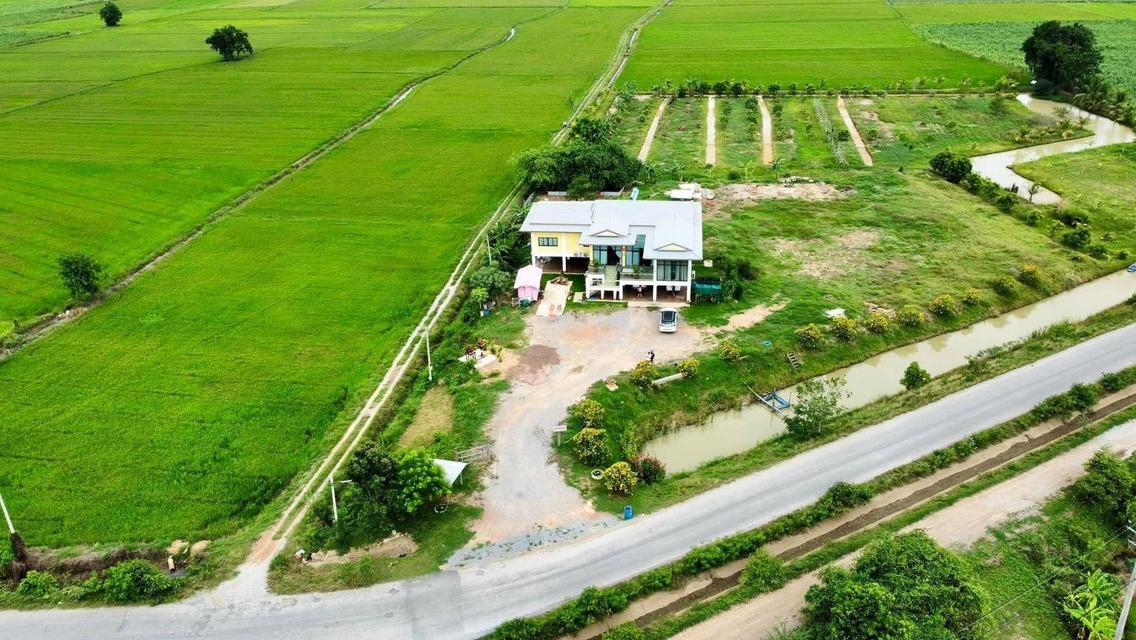 บ้านพร้อมที่ดิน 10 ไร่ 18 ตรว 3