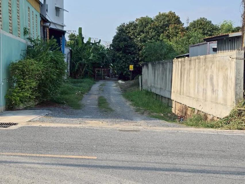 ขายด่วนที่ดินใกล้รร.อนุบาลบางใหญ่ 59 ตารางวา ซอย โรงเรียนอนุบาลบางใหญ่ อ.บางใหญ่ จ.นนทบุรี 2